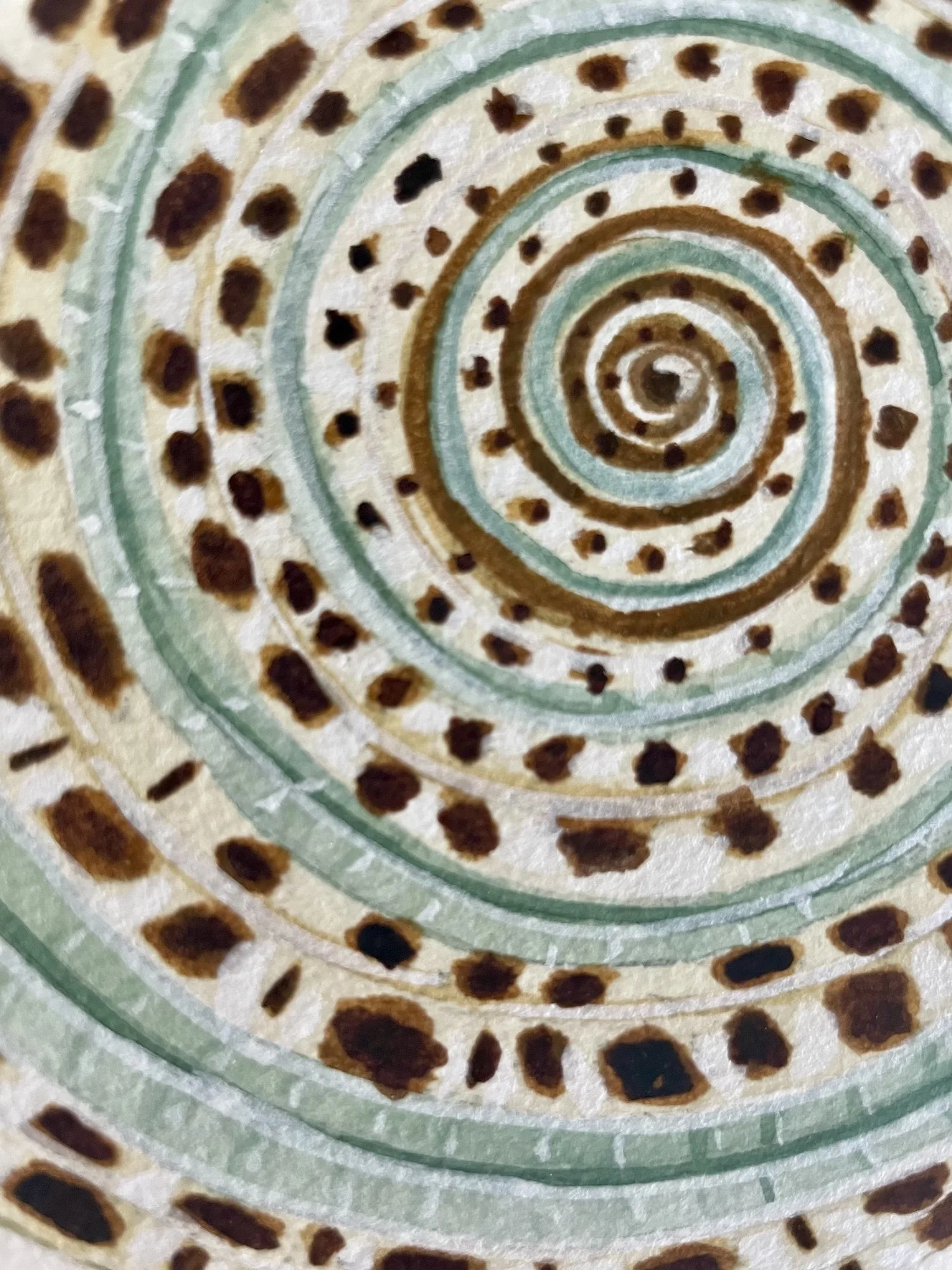 Sundial Shell Art Print 8x10 — Catherine Cartie